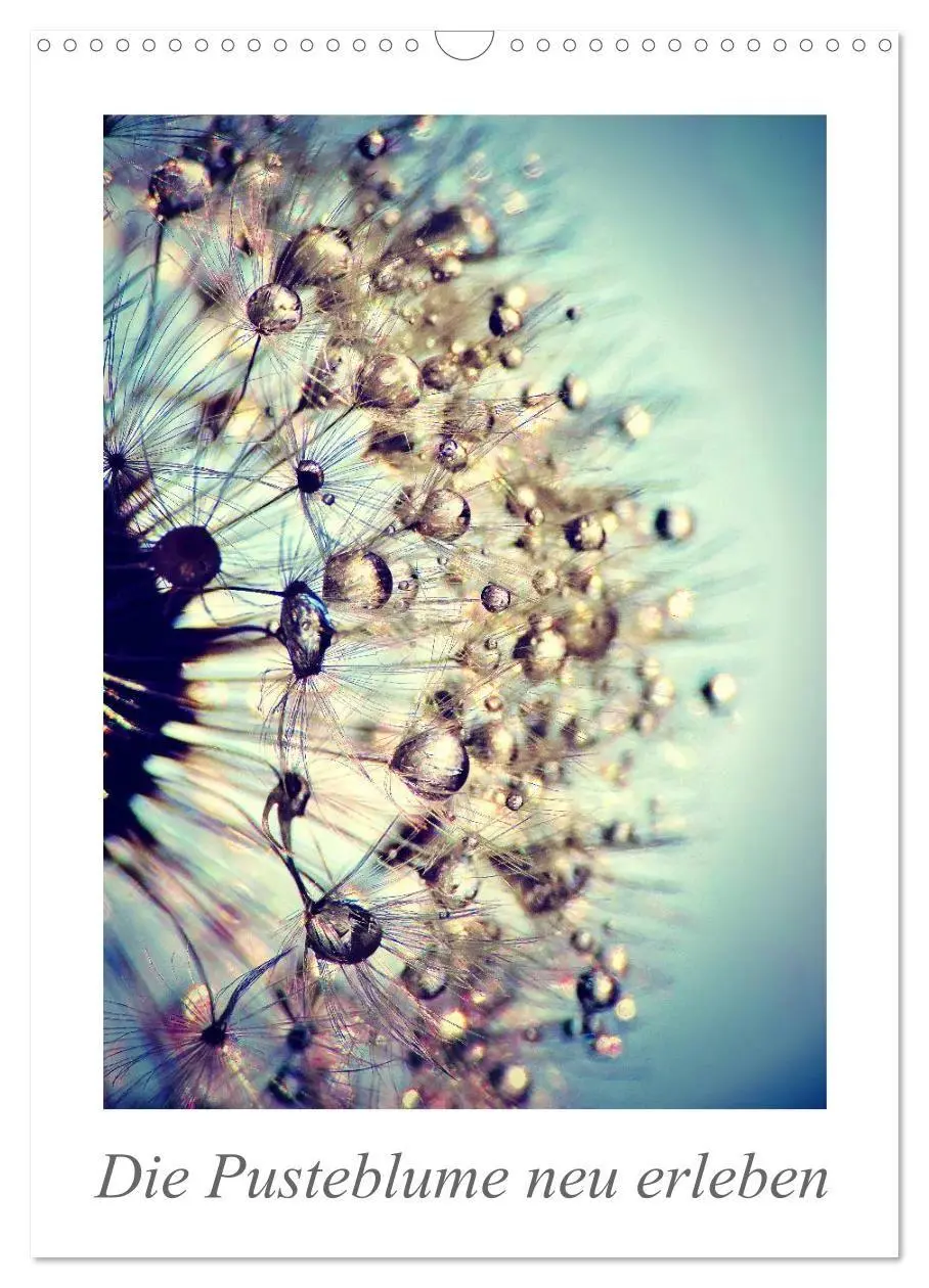 Cover: 9783594080382 | Die Pusteblume neu erleben (Wandkalender 2027 DIN A3 hoch),...