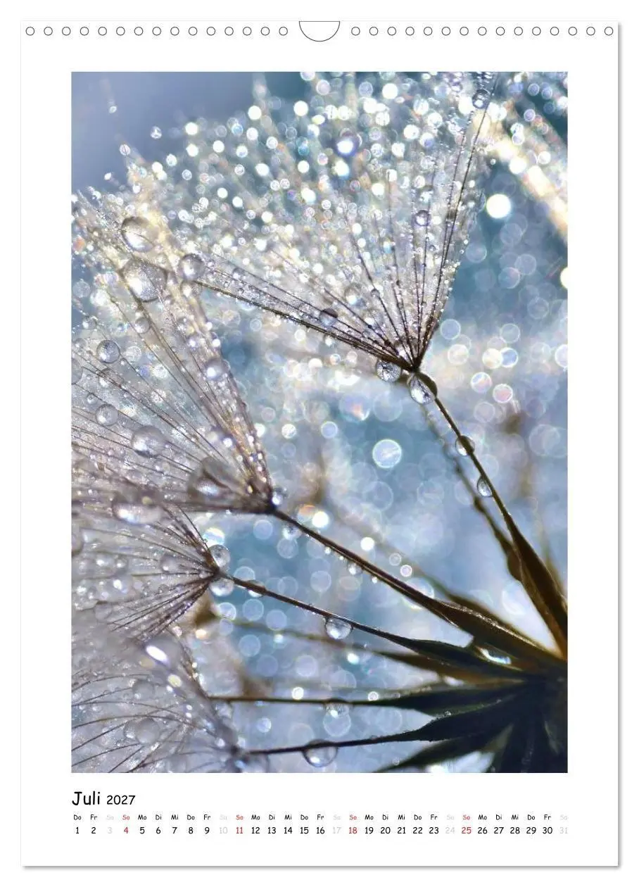 Bild: 9783594080382 | Die Pusteblume neu erleben (Wandkalender 2027 DIN A3 hoch),...