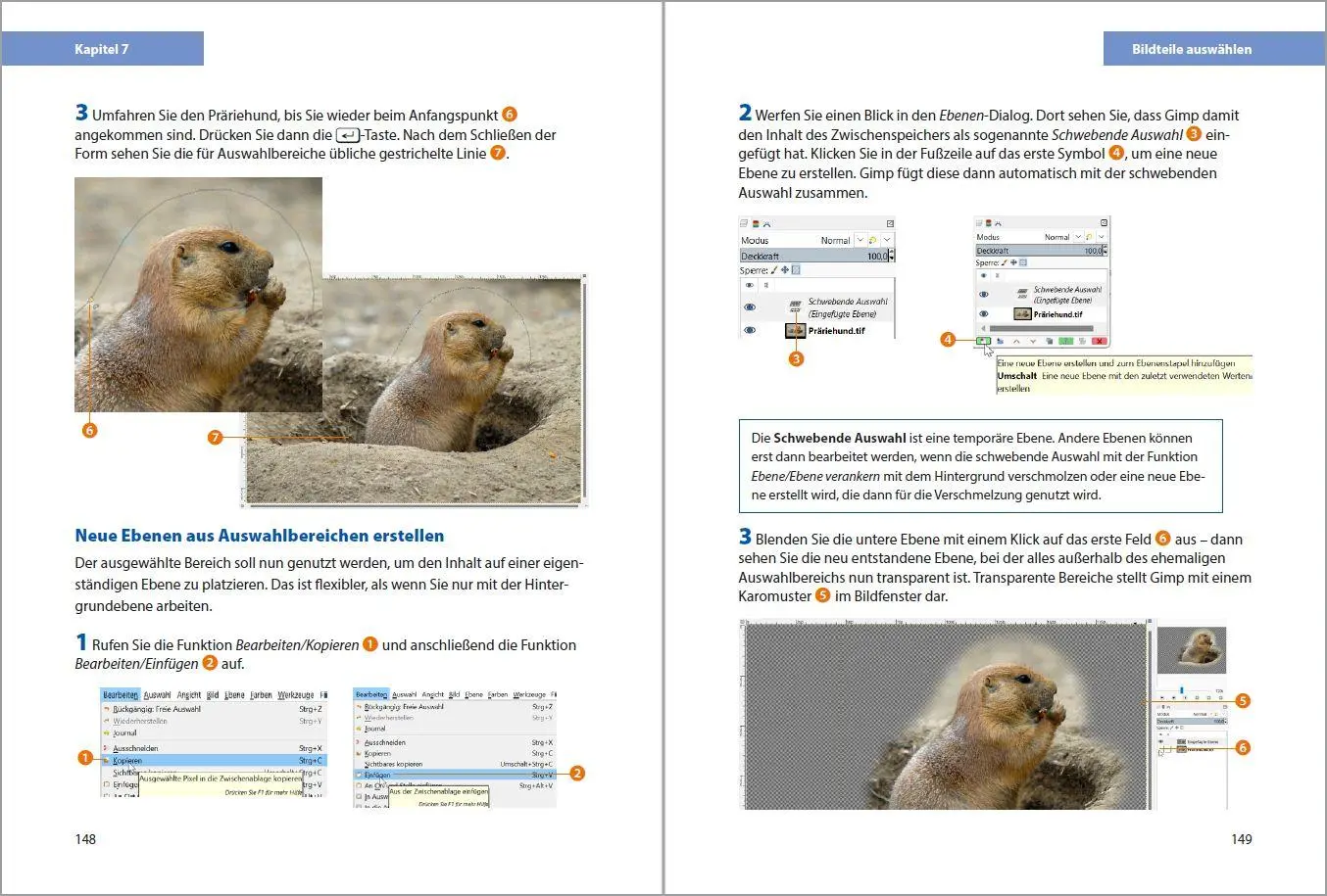Bild: 9783988100382 | GIMP - Einstieg und Praxis | Michael Gradias | Buch | 352 S. | Deutsch
