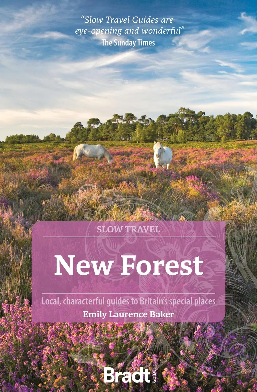Cover: 9781804690482 | New Forest | Local, Characterful Guides to Britain's Special Places