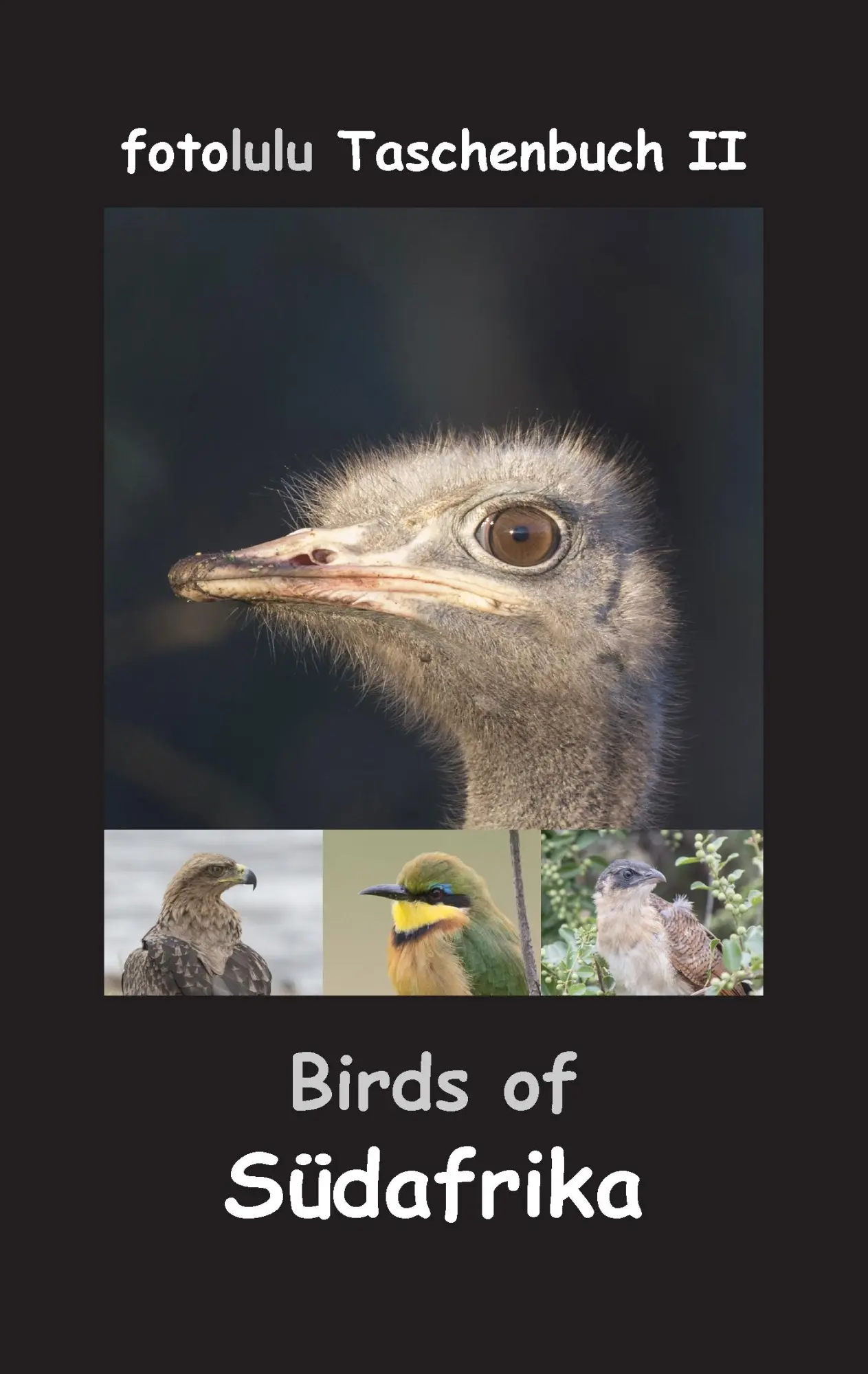 Cover: 9783743180482 | Birds of Südafrika | Fotolulu | Taschenbuch | 76 S. | Deutsch | 2017