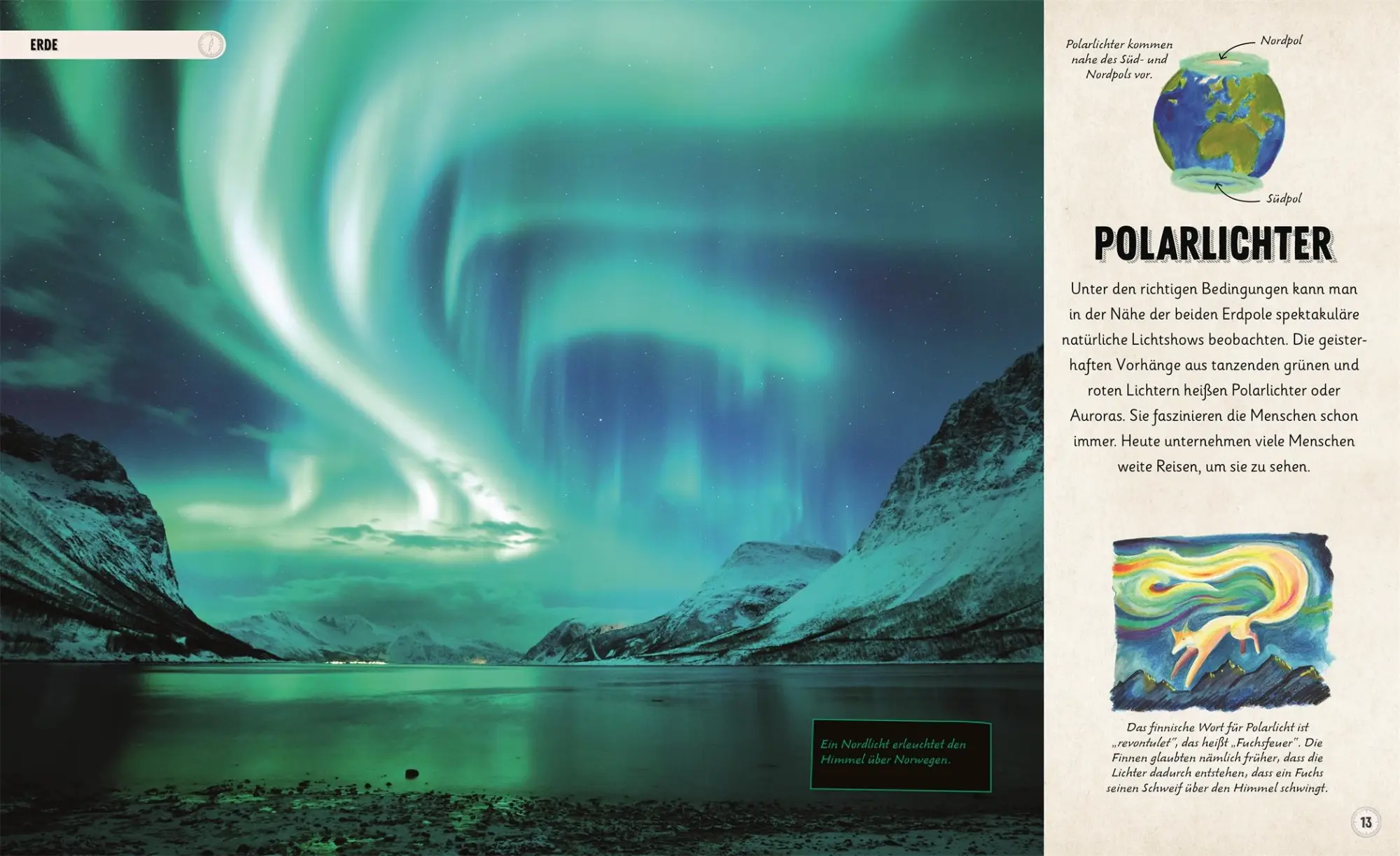 Bild: 9783831050482 | Erstaunliches Universum | Sophie Allan (u. a.) | Buch | 176 S. | 2025