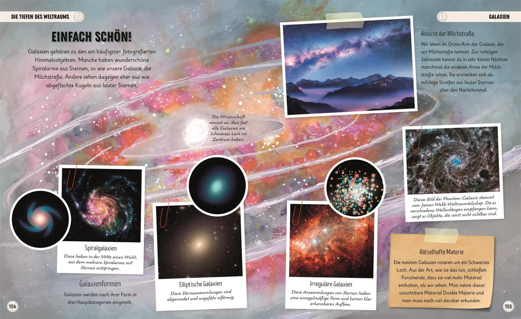Bild: 9783831050482 | Erstaunliches Universum | Sophie Allan (u. a.) | Buch | 176 S. | 2025