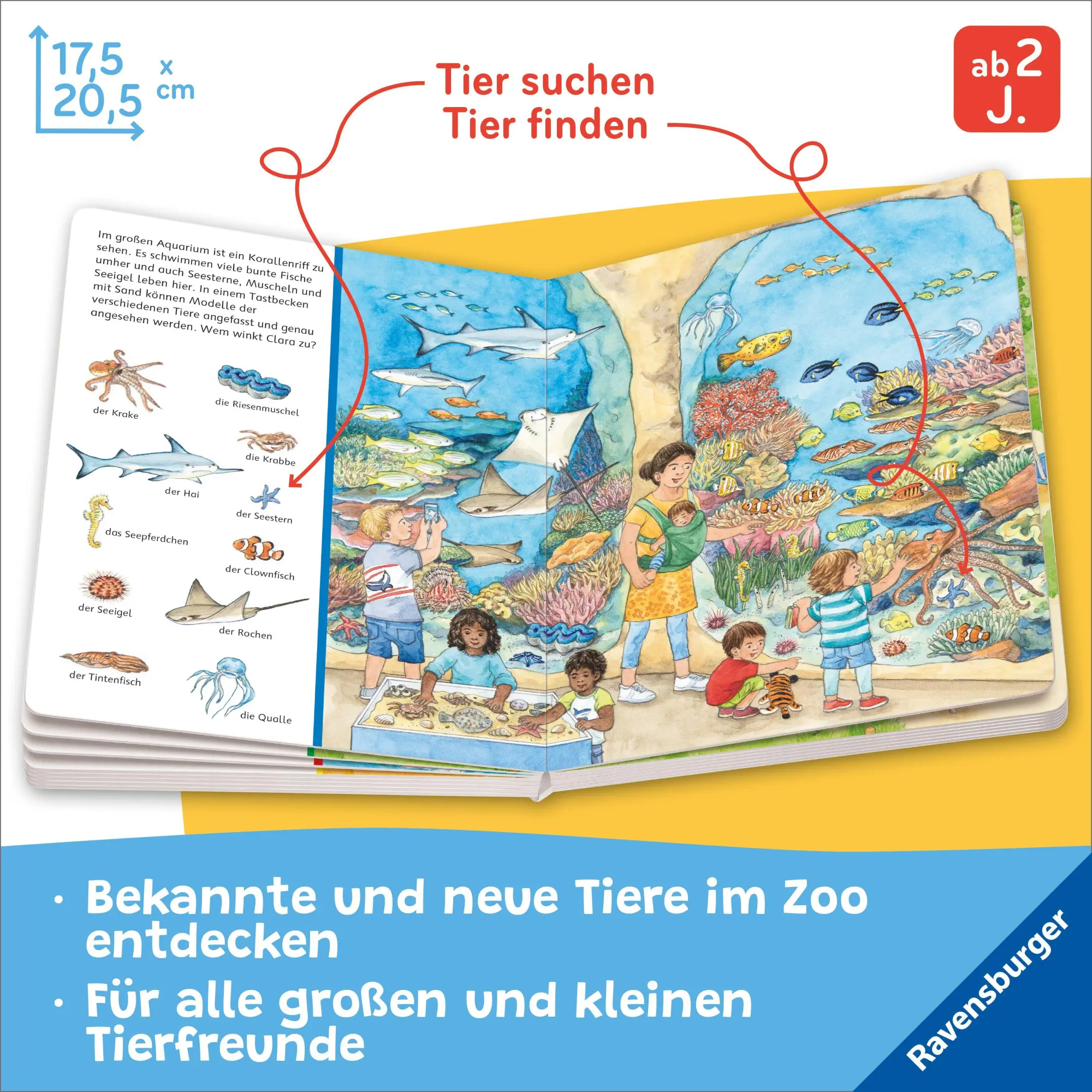 Bild: 9783473420582 | Sachen suchen: Besuch im Zoo | Susanne Gernhäuser | Buch | 24 S.