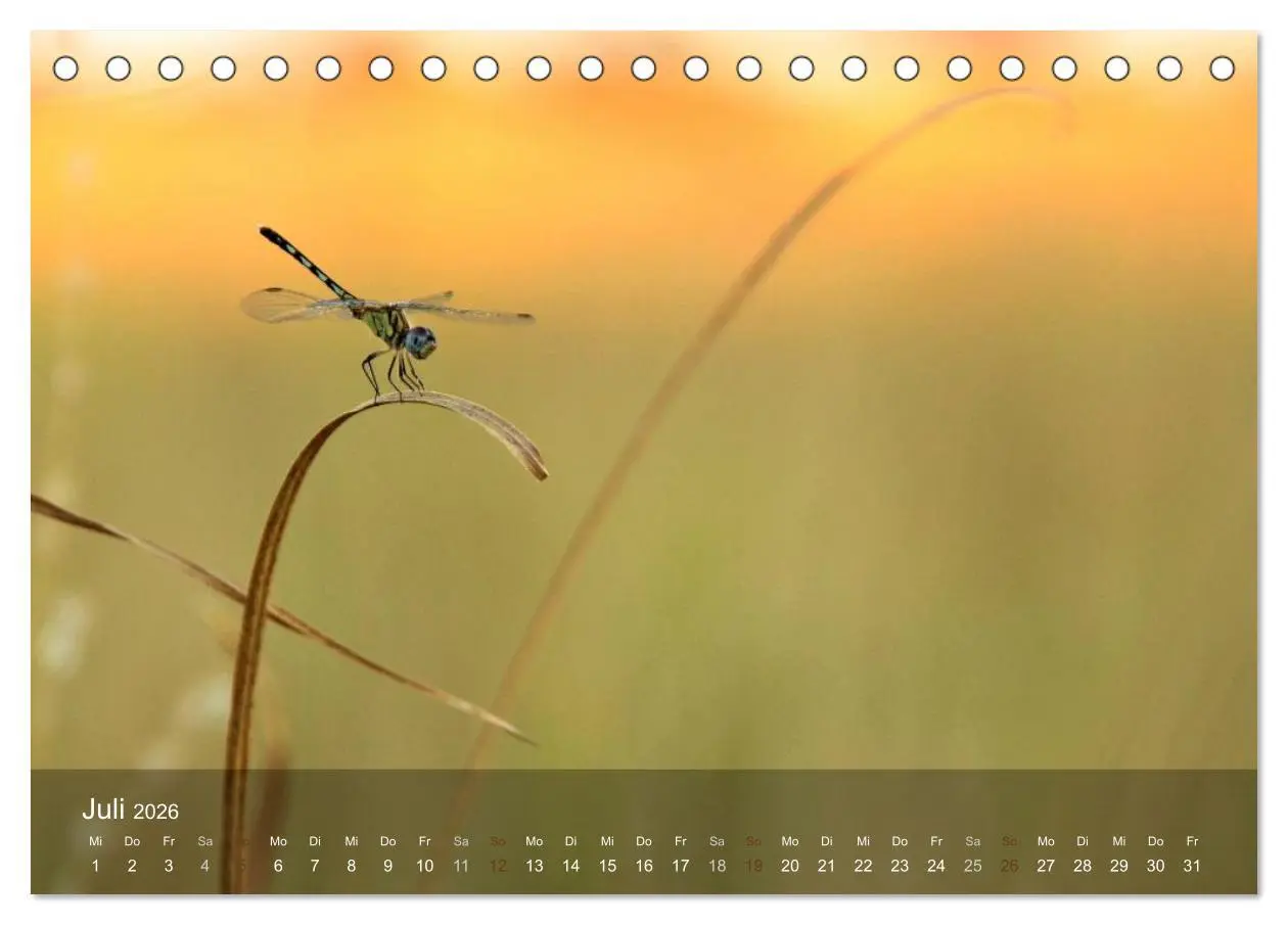 Bild: 9783516150582 | Botswana Wildlife (Tischkalender 2026 DIN A5 quer), CALVENDO...