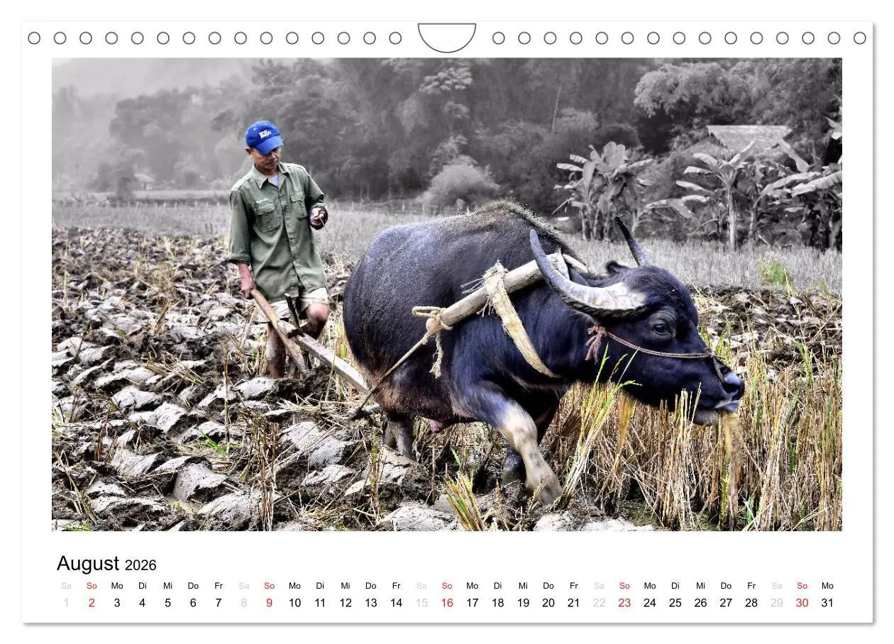 Bild: 9783516220582 | Vietnam - Mit anderen Augen (Wandkalender 2026 DIN A4 quer),...