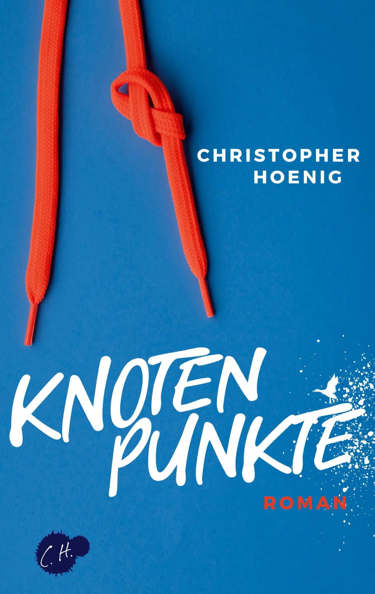 Cover: 9783757890582 | Knotenpunkte | Christopher Hoenig | Taschenbuch | 258 S. | Deutsch