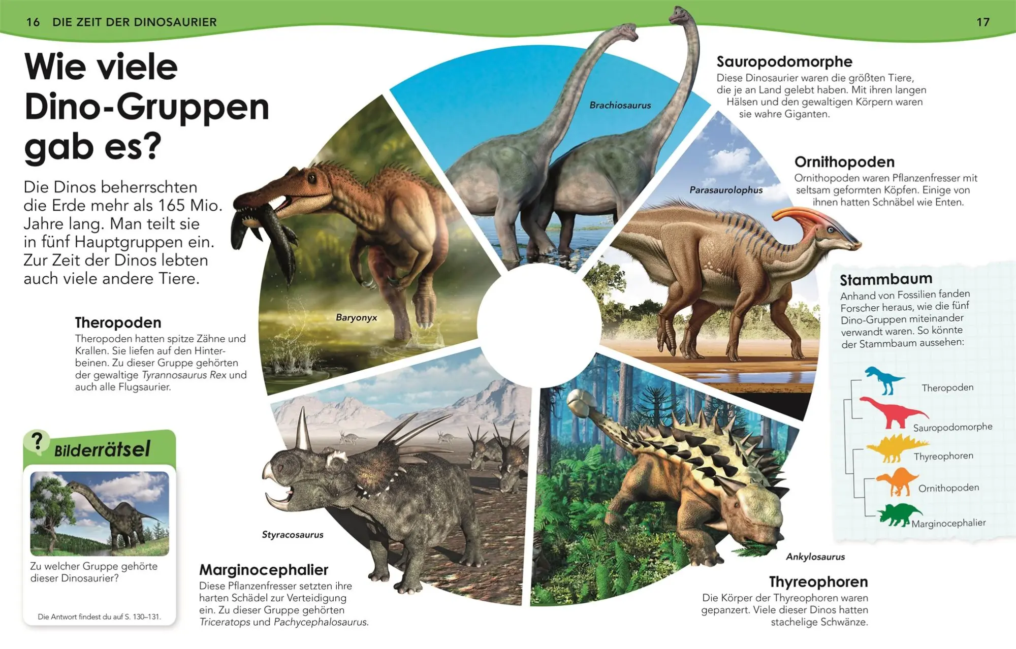 Bild: 9783831040582 | Weshalb? Deshalb! Dinos | Das Frage-und-Antwort-Lexikon | DK Verlag