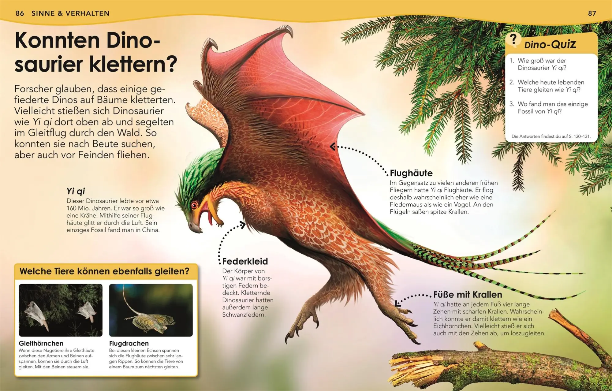 Bild: 9783831040582 | Weshalb? Deshalb! Dinos | Das Frage-und-Antwort-Lexikon | DK Verlag