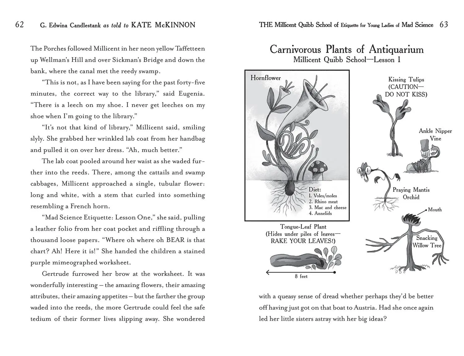 Bild: 9780008710682 | The Millicent Quibb School of Etiquette for Young Ladies of Mad...