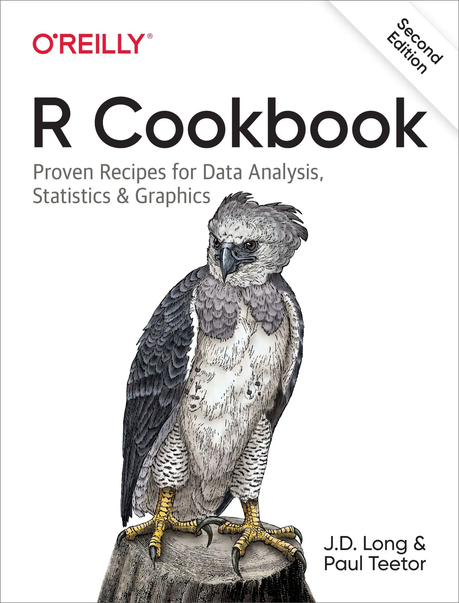 Cover: 9781492040682 | R Cookbook | Jd Long (u. a.) | Taschenbuch | Englisch | 2019