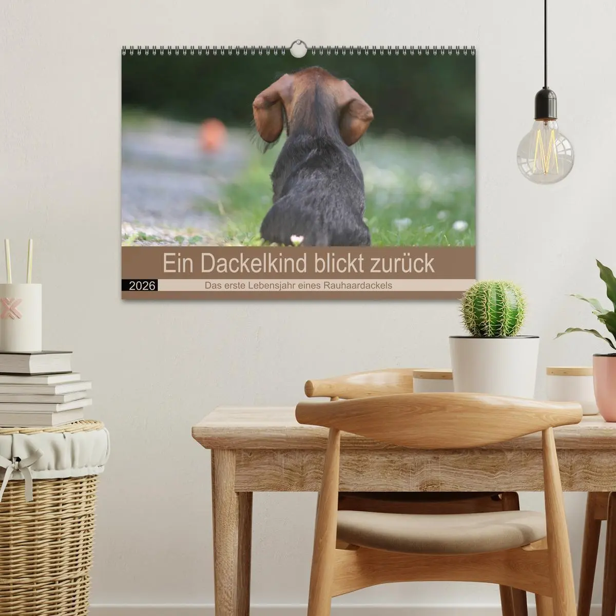 Bild: 9783457740682 | Ein Dackelkind blickt zurück (Wandkalender 2026 DIN A3 quer),...