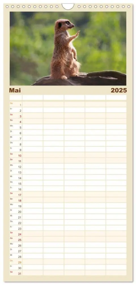 Bild: 9783457110782 | Familienplaner 2025 - Erdmännchen mit 5 Spalten (Wandkalender, 21 x...