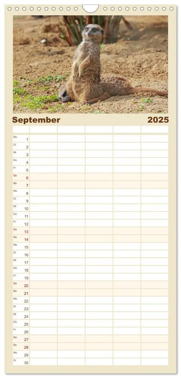 Bild: 9783457110782 | Familienplaner 2025 - Erdmännchen mit 5 Spalten (Wandkalender, 21 x...