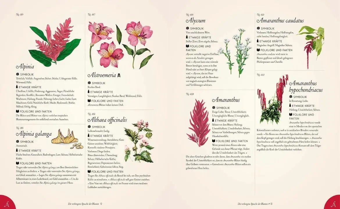 Bild: 9789464990782 | Die verborgene Sprache der Blumen | Eine illustrierte Geschichte