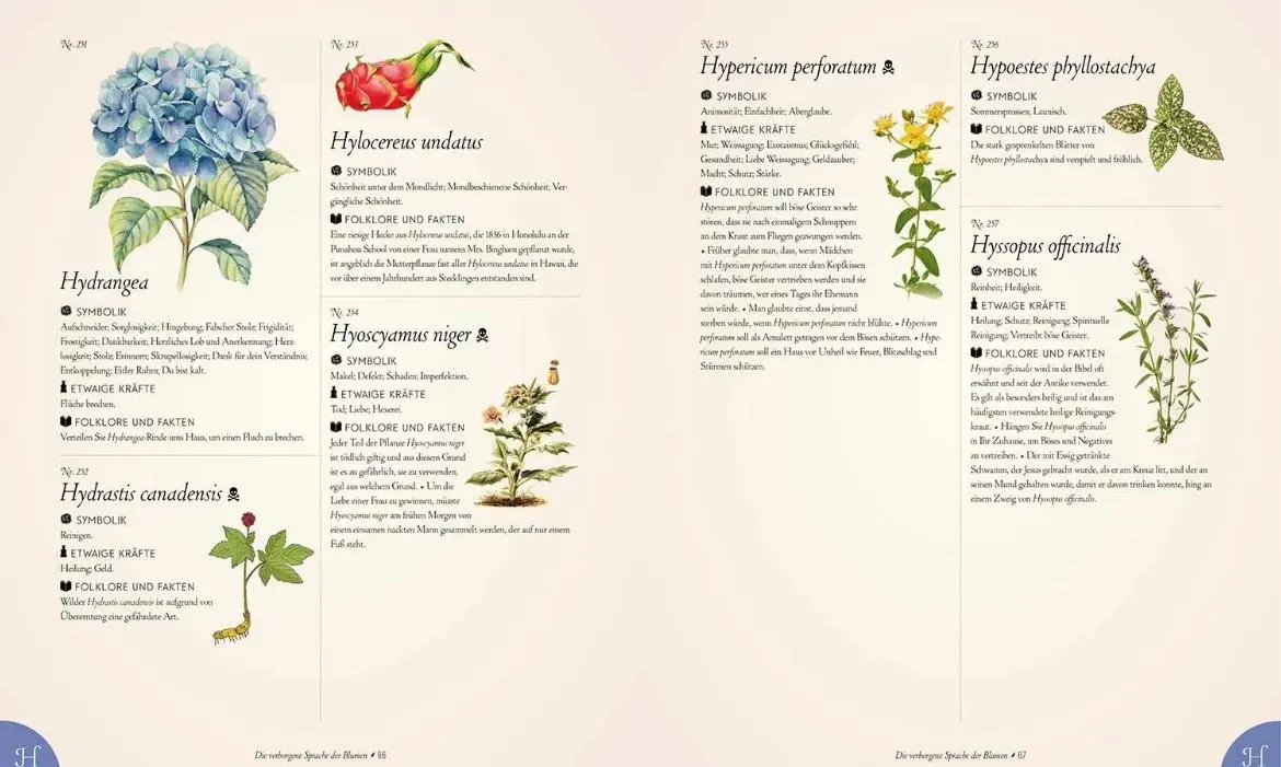 Bild: 9789464990782 | Die verborgene Sprache der Blumen | Eine illustrierte Geschichte