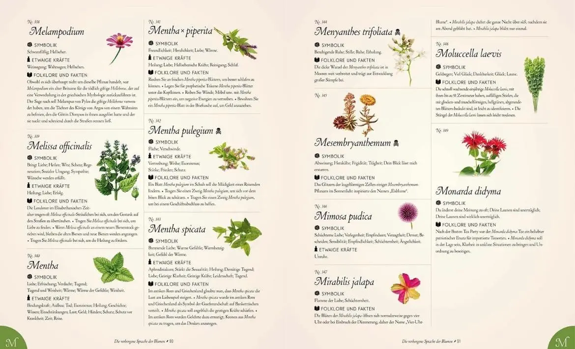 Bild: 9789464990782 | Die verborgene Sprache der Blumen | Eine illustrierte Geschichte