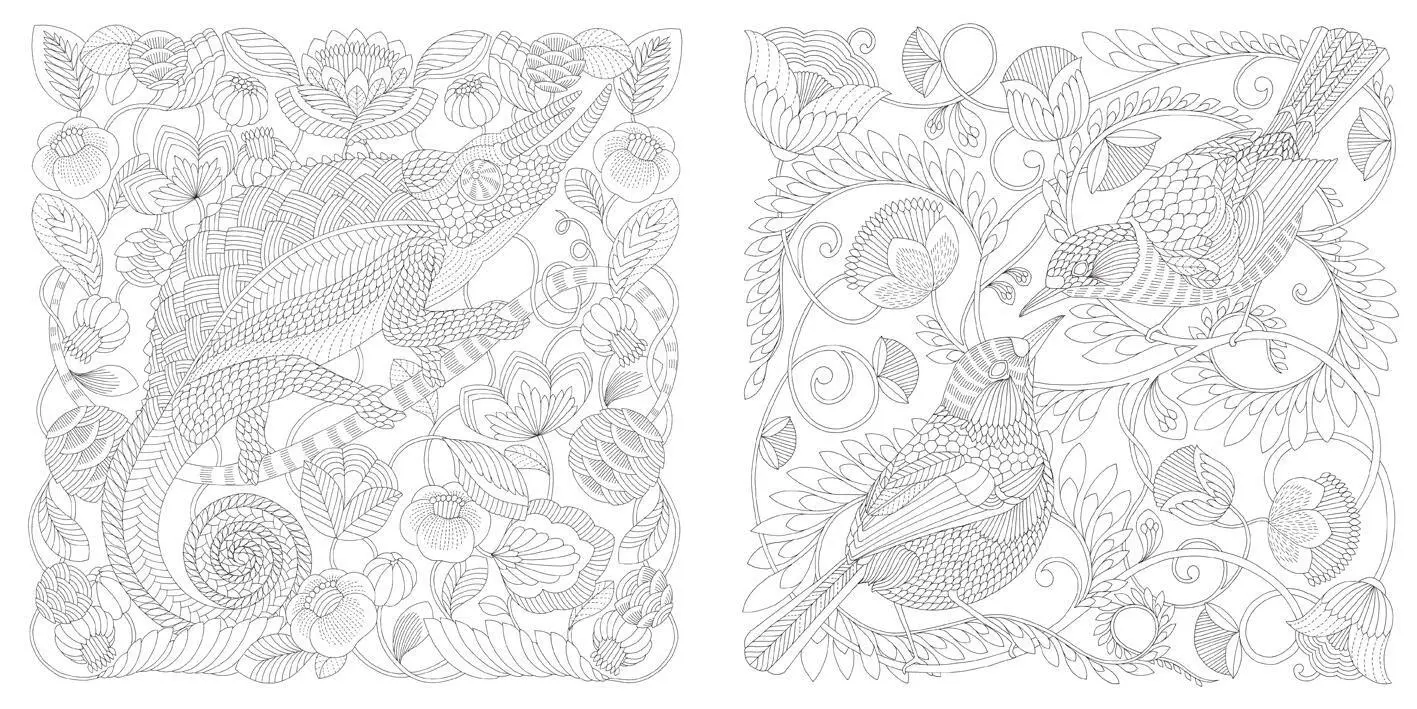 Bild: 9781454710882 | Millie Marotta's Wildlife Wonders | Millie Marotta | Taschenbuch