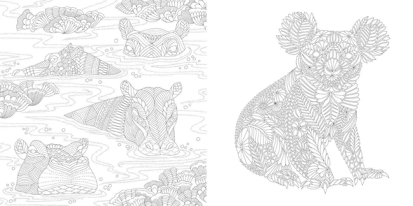Bild: 9781454710882 | Millie Marotta's Wildlife Wonders | Millie Marotta | Taschenbuch