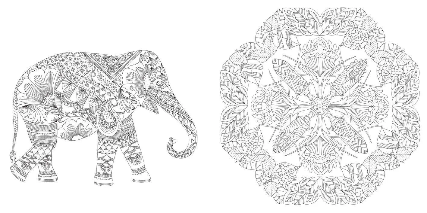 Bild: 9781454710882 | Millie Marotta's Wildlife Wonders | Millie Marotta | Taschenbuch