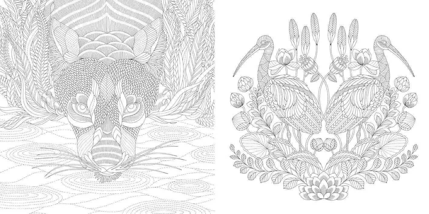 Bild: 9781454710882 | Millie Marotta's Wildlife Wonders | Millie Marotta | Taschenbuch