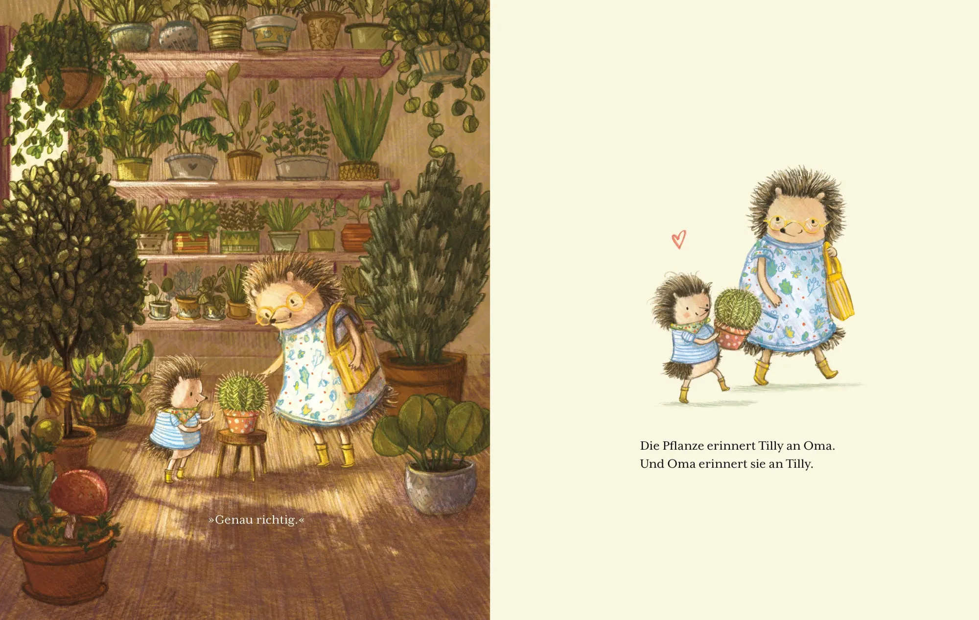 Bild: 9783219120882 | Tilly - Jeder Tag ein Abenteuer | Stephanie Graegin | Buch | 48 S.