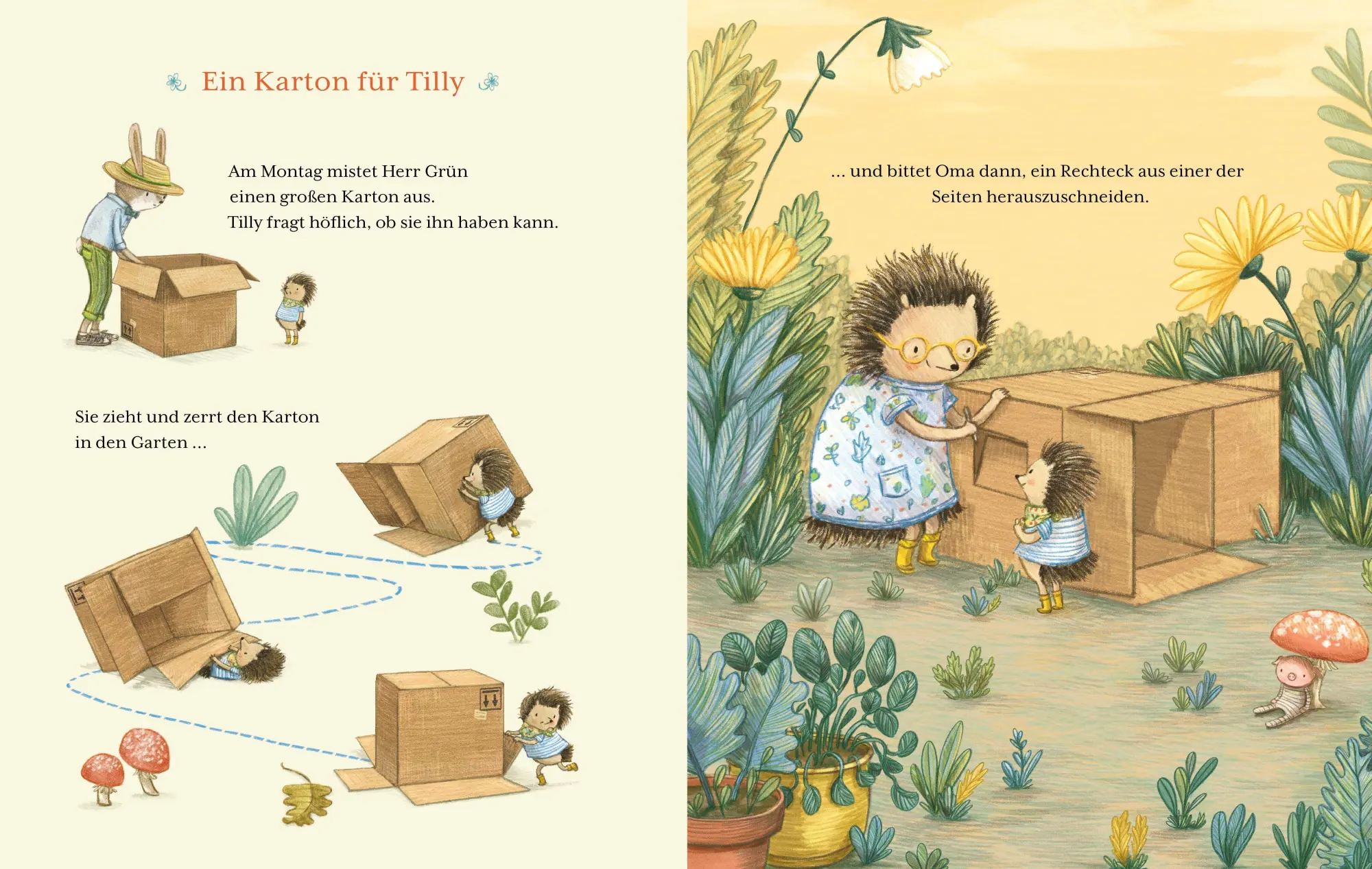 Bild: 9783219120882 | Tilly - Jeder Tag ein Abenteuer | Stephanie Graegin | Buch | 48 S.