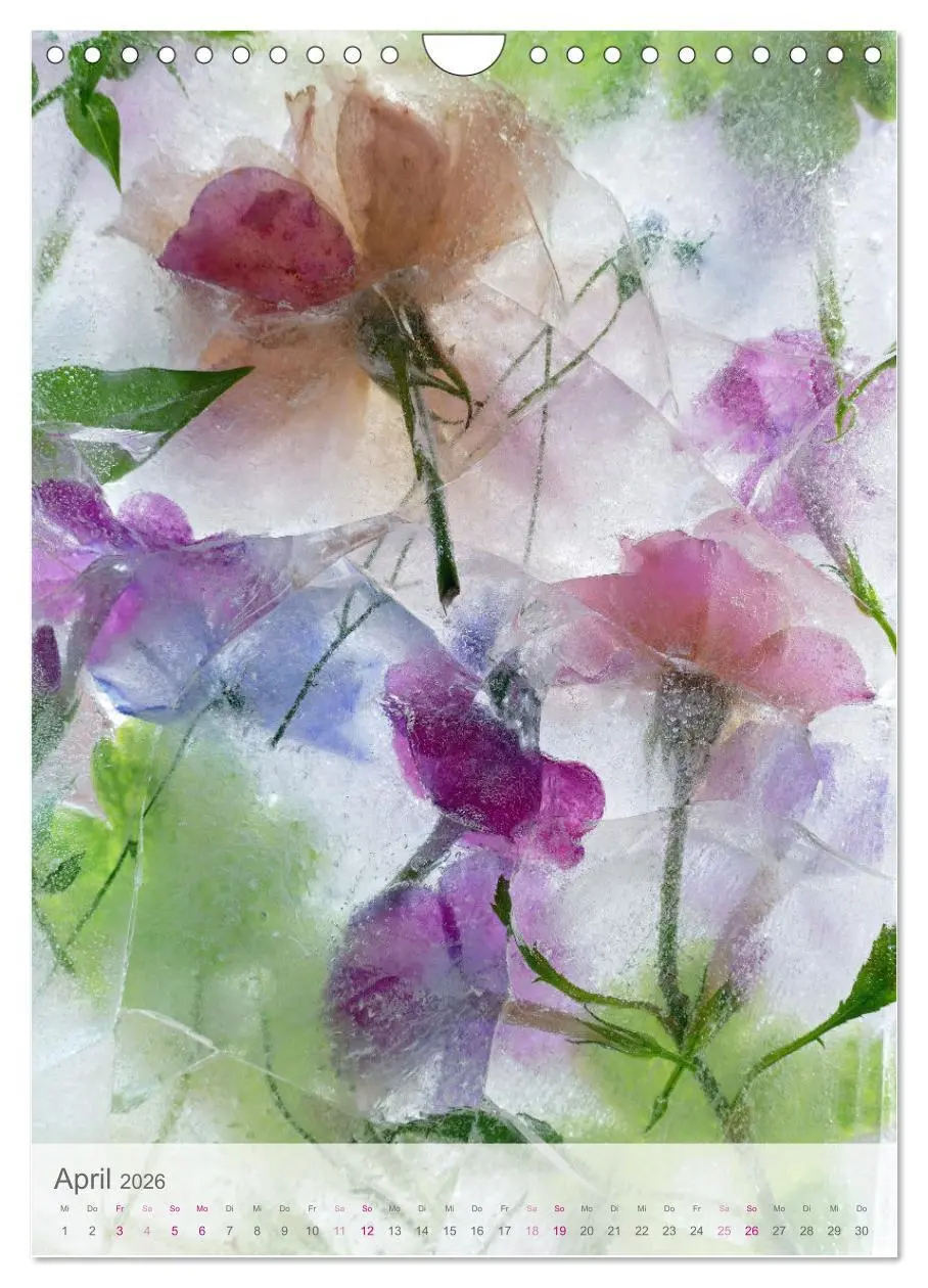Bild: 9783516360882 | Blumen in Eis (Wandkalender 2026 DIN A4 hoch), CALVENDO Monatskalender