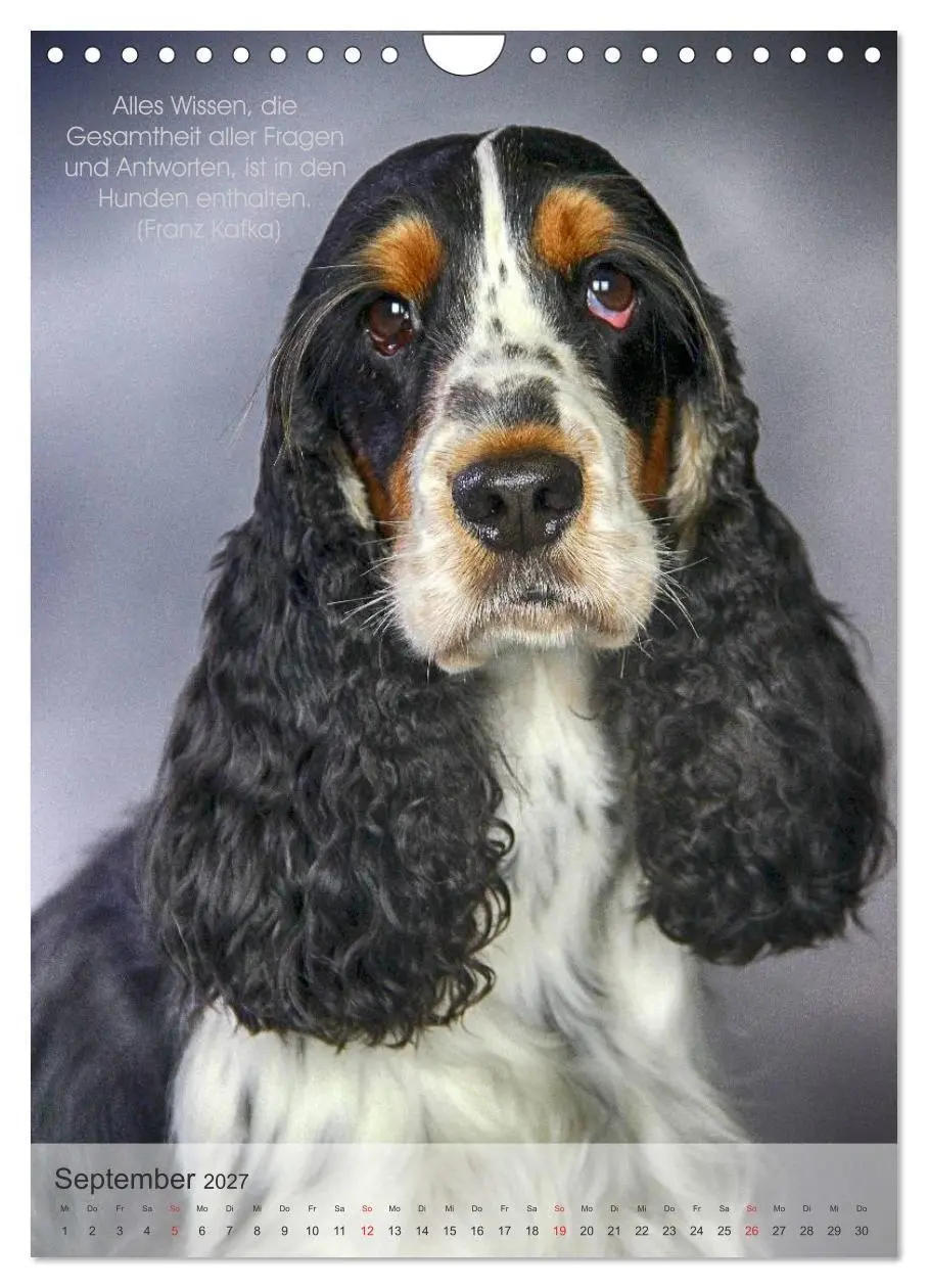 Bild: 9783594030882 | Hundezitate 2027 (Wandkalender 2027 DIN A4 hoch), CALVENDO...