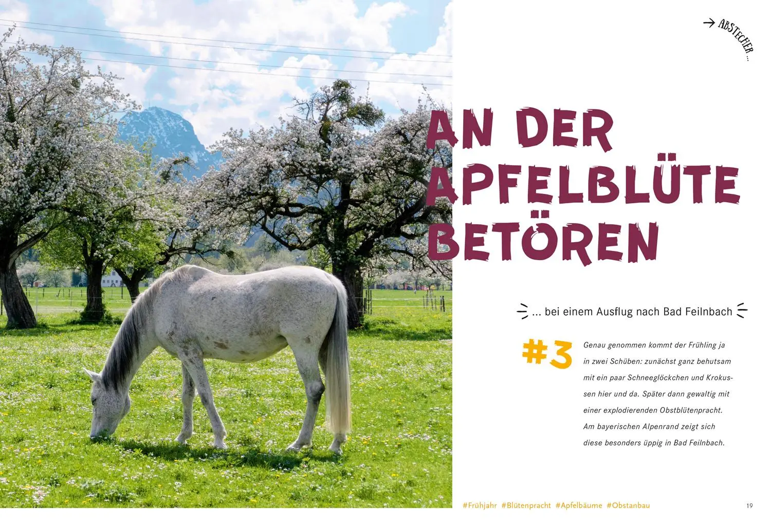 Bild: 9783770180882 | 52 kleine &amp; große Eskapaden in den Bayerischen Alpen | Nadine Ormo