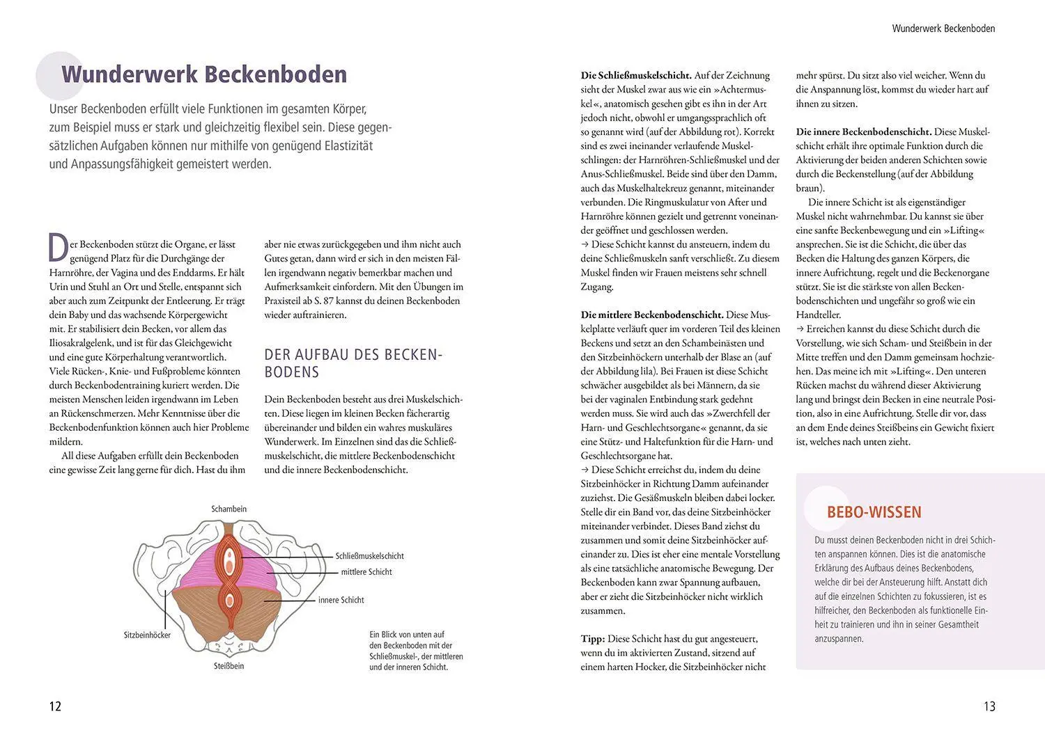 Bild: 9783968590882 | Mein Beckenboden, die Wechseljahre und ich | Nadja Dörner | Buch
