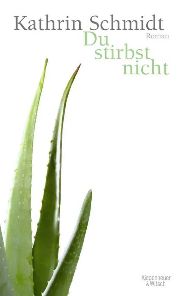 Cover: 9783462040982 | Du stirbst nicht | Kathrin Schmidt | Buch | 352 S. | Deutsch | 2009