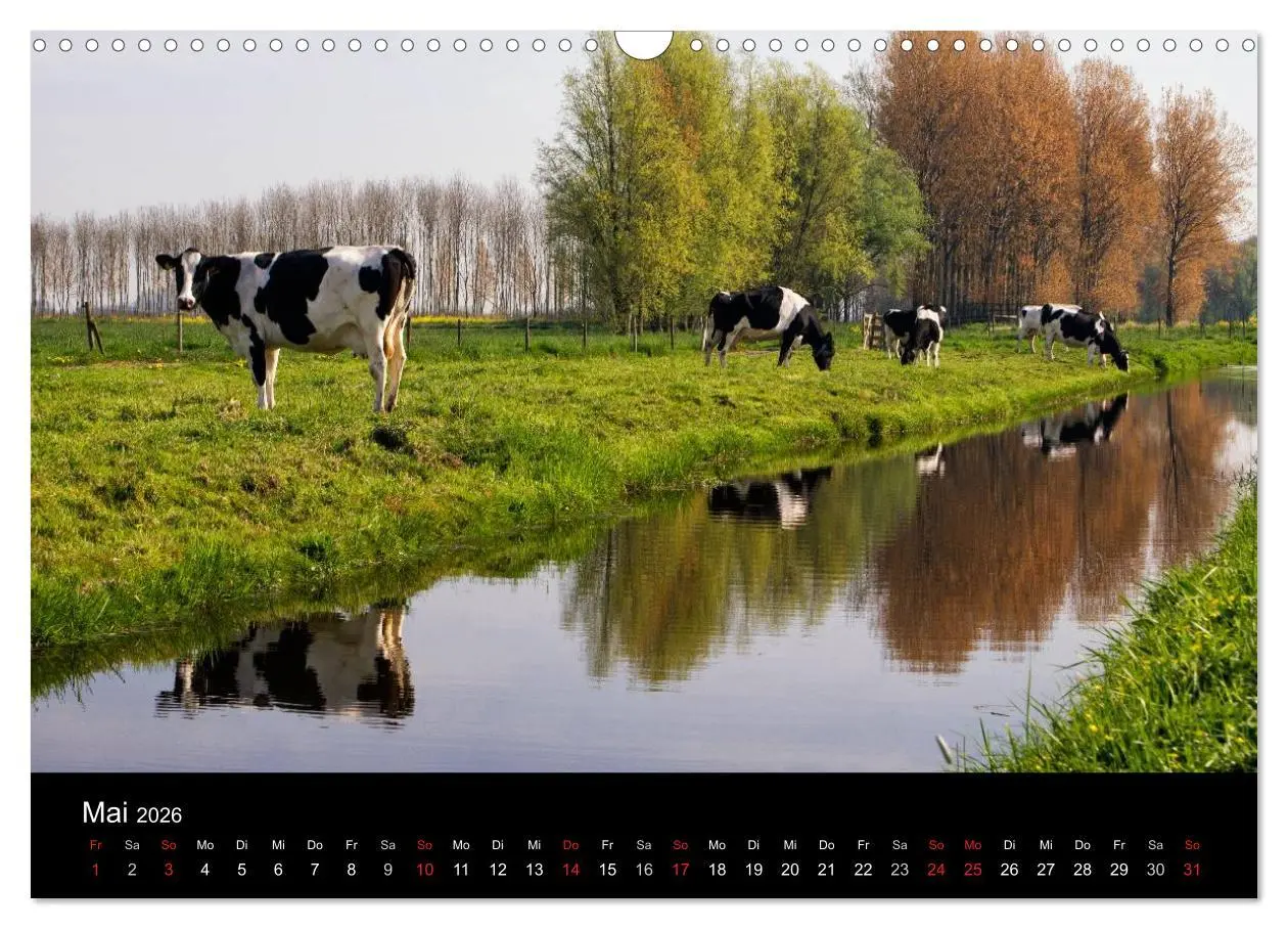 Bild: 9783516040982 | HOLLÄNDISCHE LANDSCHAFTEN: ALBLASSERWAARD 2026 (Wandkalender 2026...