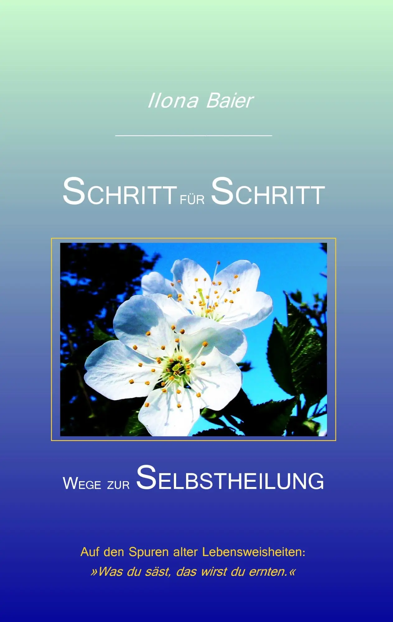 Cover: 9783839190982 | Schritt für Schritt | Wege zur Selbstheilung | Ilona Baier | Buch