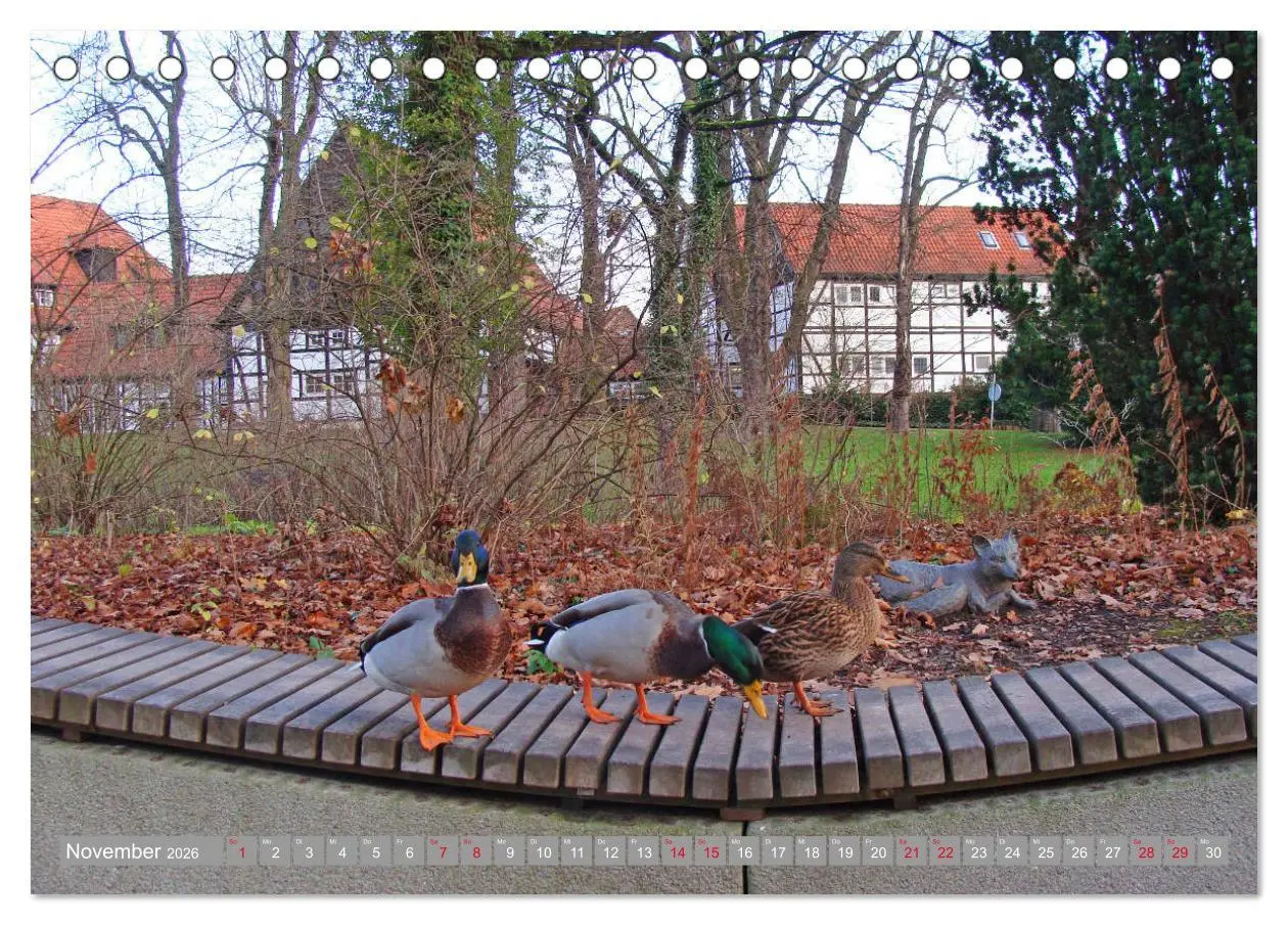 Bild: 9783457771082 | Bad Sassendorf (Tischkalender 2026 DIN A5 quer), CALVENDO...