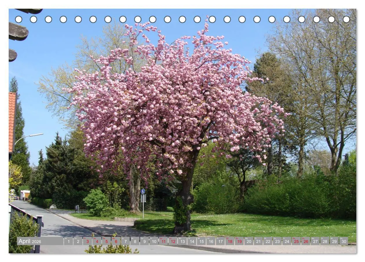 Bild: 9783457771082 | Bad Sassendorf (Tischkalender 2026 DIN A5 quer), CALVENDO...