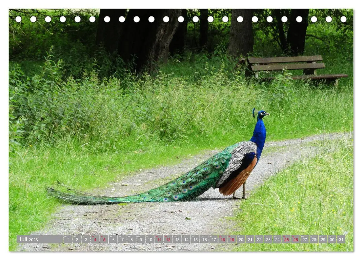 Bild: 9783457771082 | Bad Sassendorf (Tischkalender 2026 DIN A5 quer), CALVENDO...
