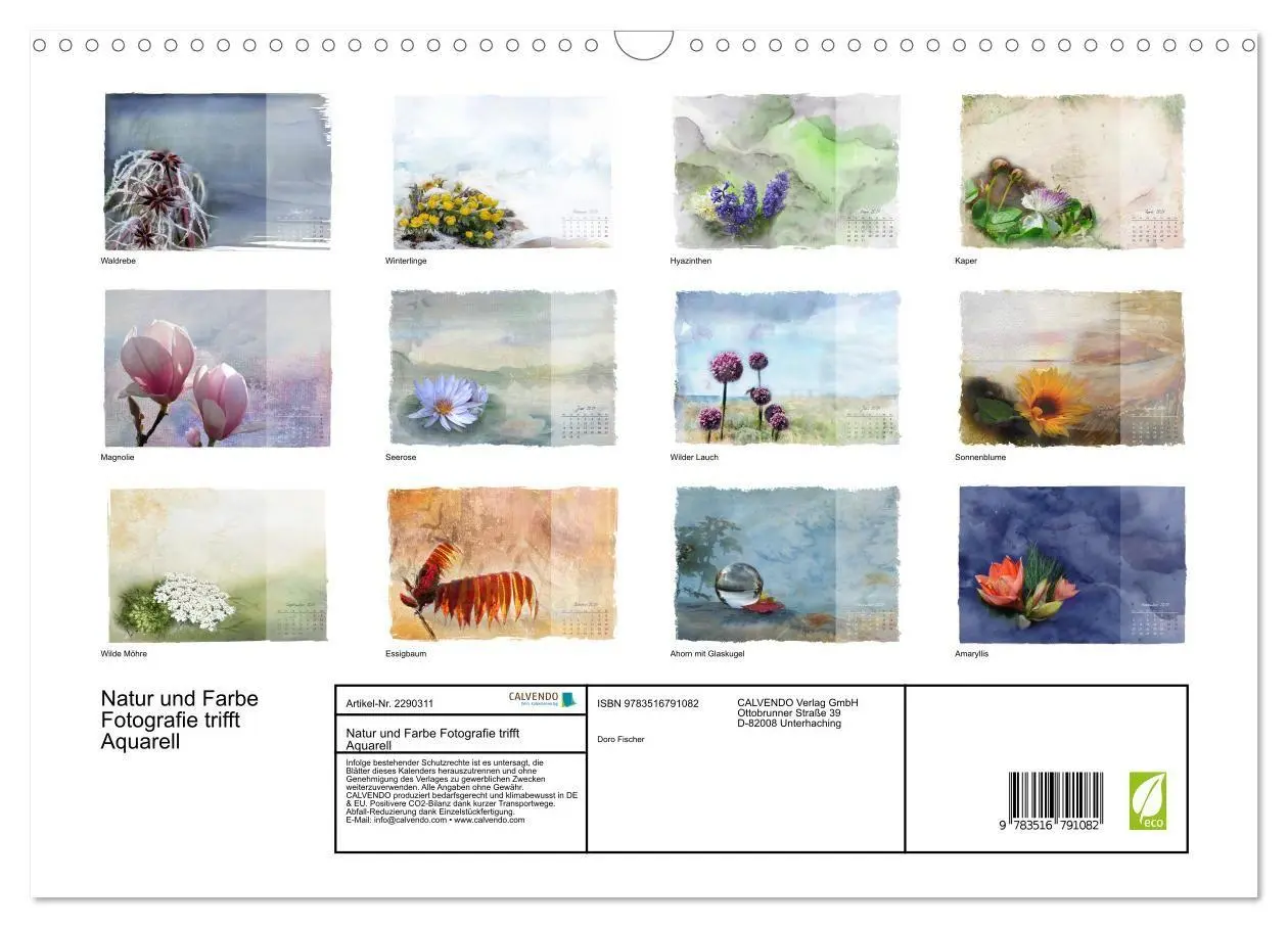 Bild: 9783516791082 | Natur und Farbe Fotografie trifft Aquarell (Wandkalender 2027 DIN...