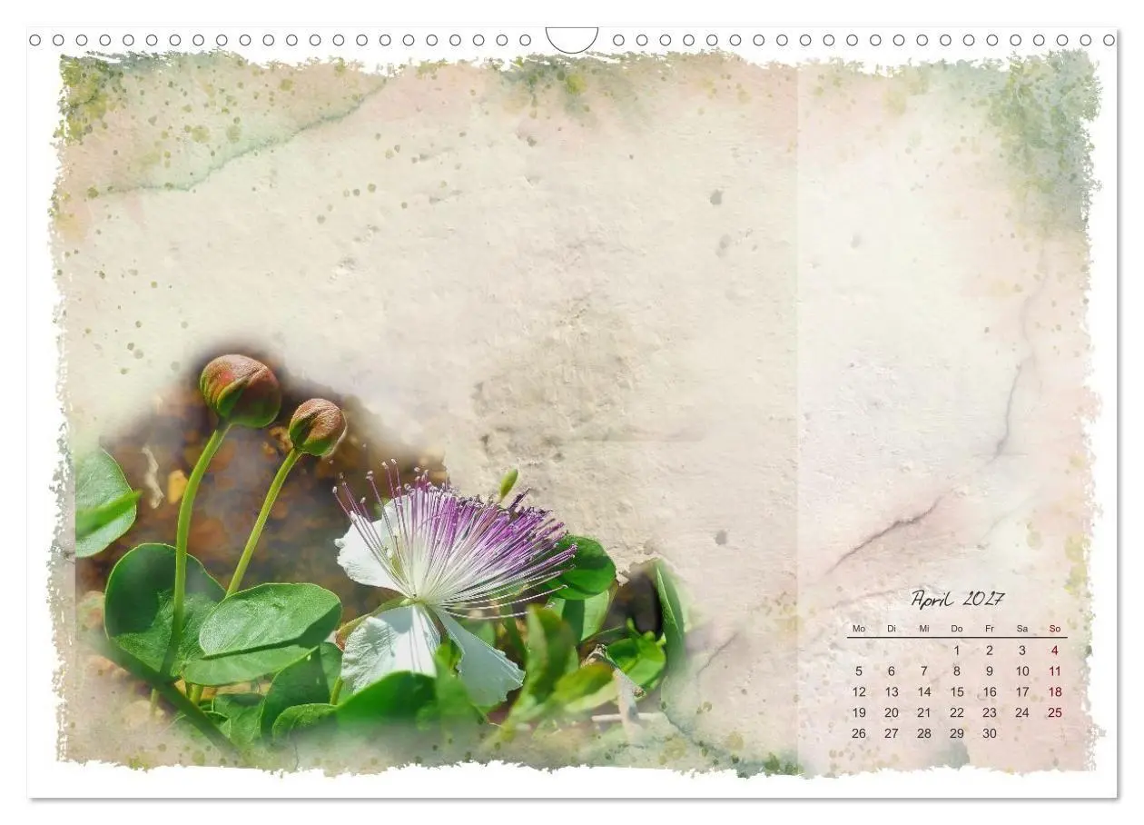 Bild: 9783516791082 | Natur und Farbe Fotografie trifft Aquarell (Wandkalender 2027 DIN...