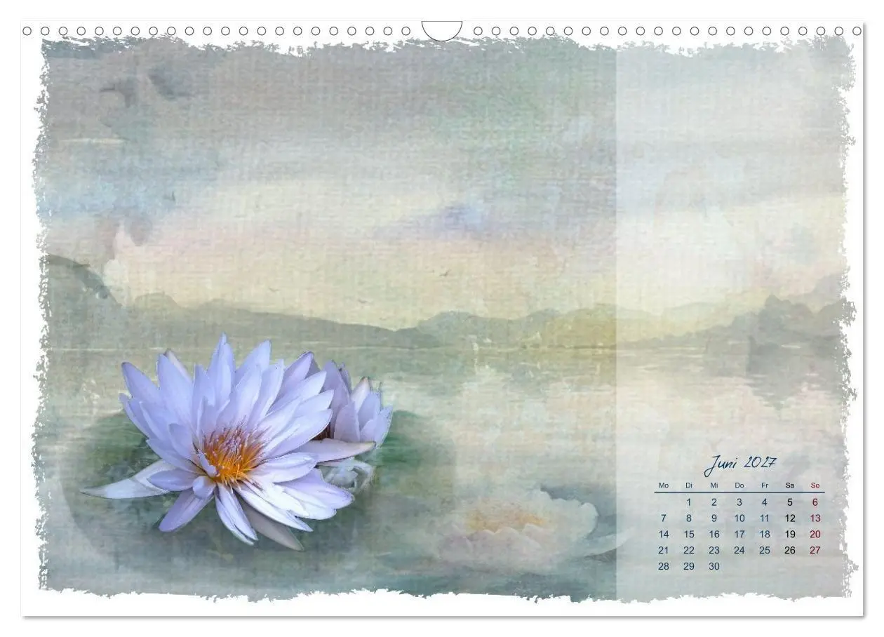 Bild: 9783516791082 | Natur und Farbe Fotografie trifft Aquarell (Wandkalender 2027 DIN...