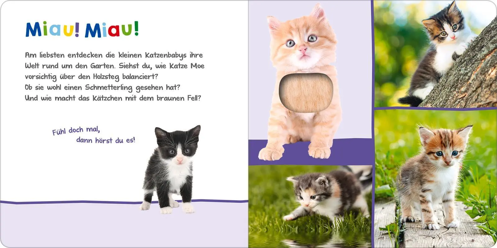 Bild: 9783845851082 | Hör mal rein, wer kann das sein? - Tierkinder im Frühling | Buch