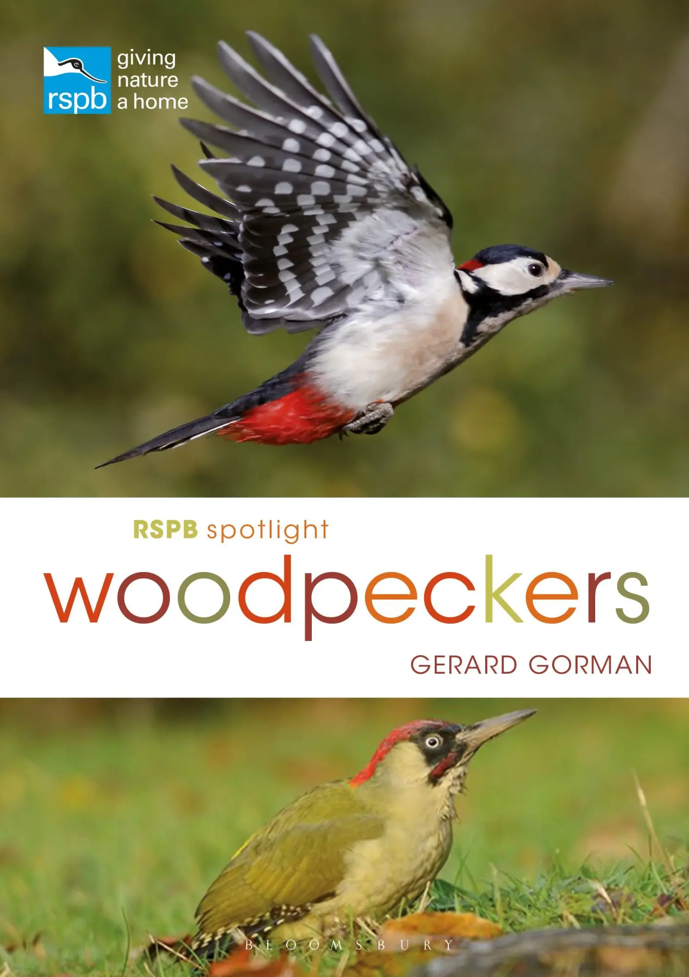 Cover: 9781472951182 | RSPB Spotlight Woodpeckers | Gerard Gorman | Taschenbuch | Englisch