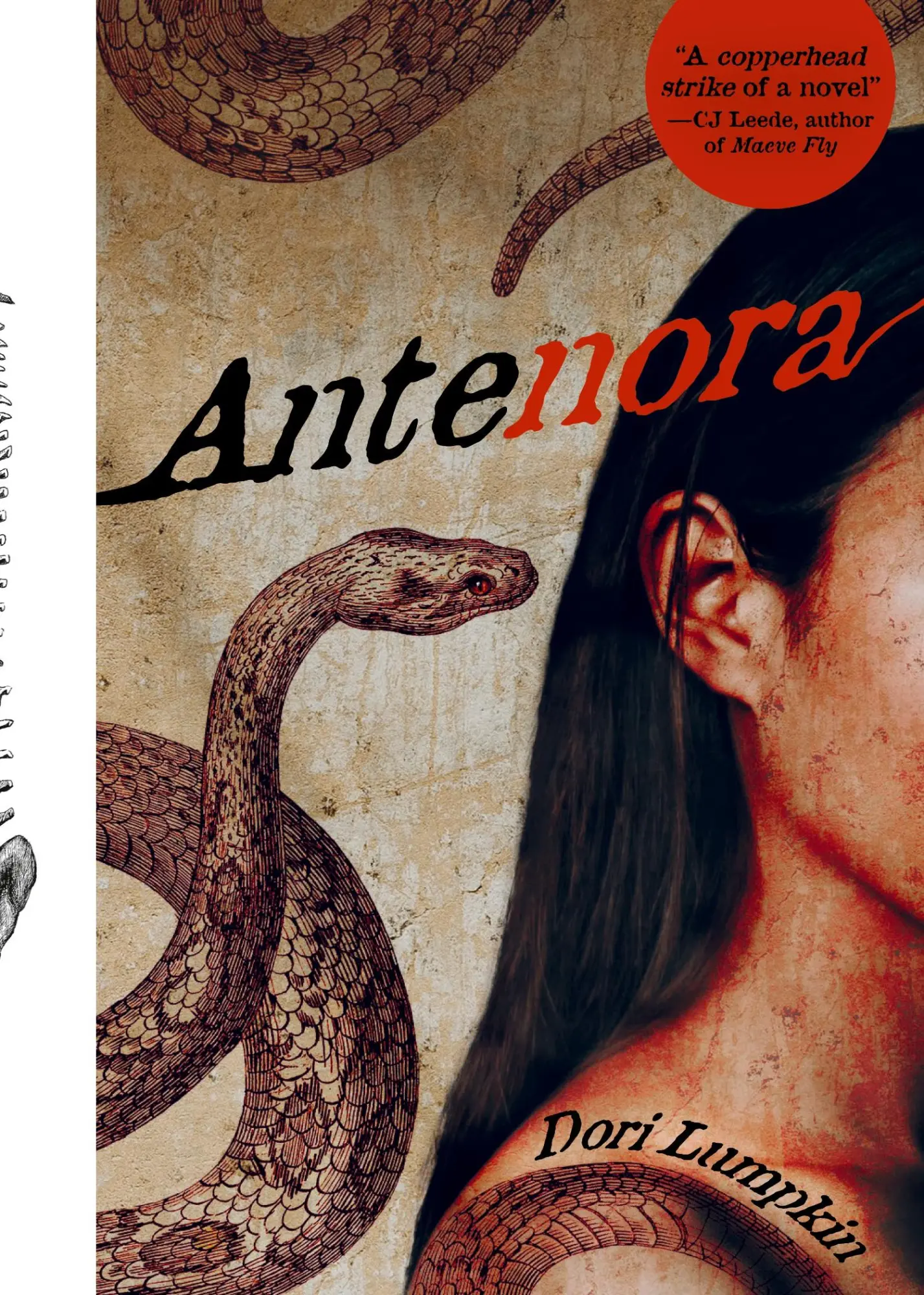 Cover: 9781951971182 | Antenora | Dori Lumpkin | Taschenbuch | Englisch | 2024