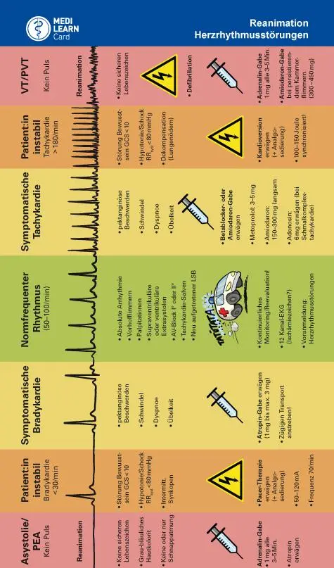 Rückseite: 9783956581182 | MEDI-LEARN Card: Herzrhythmusstörungen und Reanimation | 1 S. | 2022