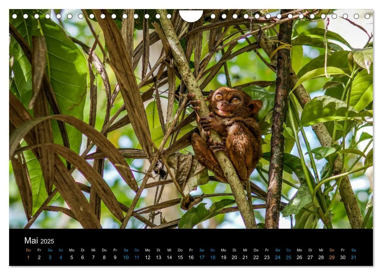 Bild: 9783435281282 | Philippinen Foto Wandkalender 2025 (Wandkalender 2025 DIN A4 quer),...