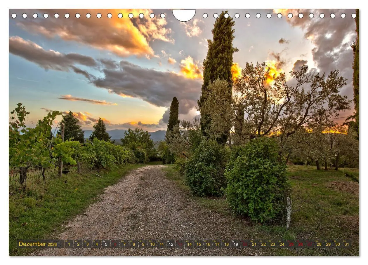 Bild: 9783457751282 | Faszination Toskana (Wandkalender 2026 DIN A4 quer), CALVENDO...
