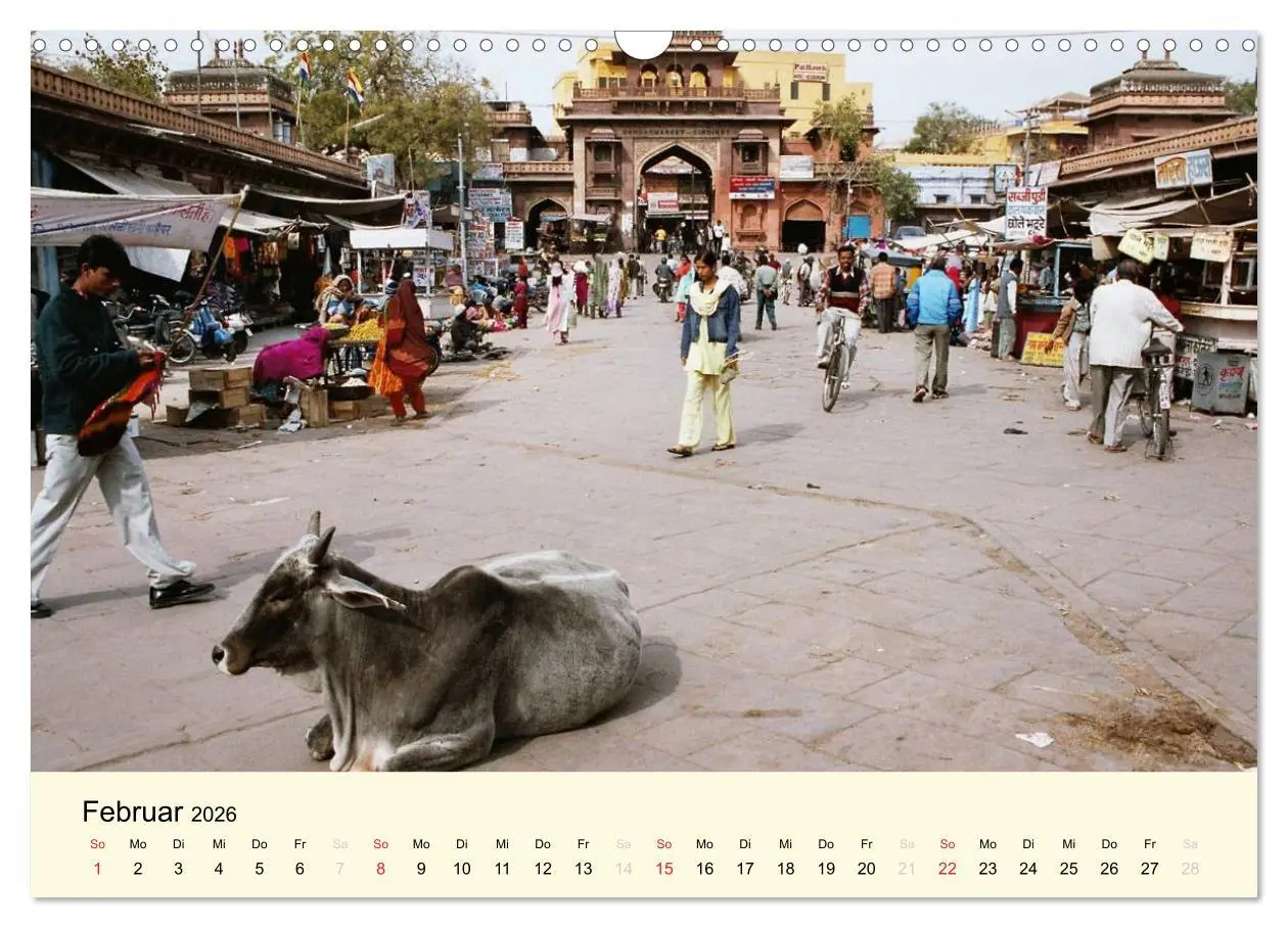 Bild: 9783516221282 | Alltagsleben in Indien (Wandkalender 2026 DIN A3 quer), CALVENDO...
