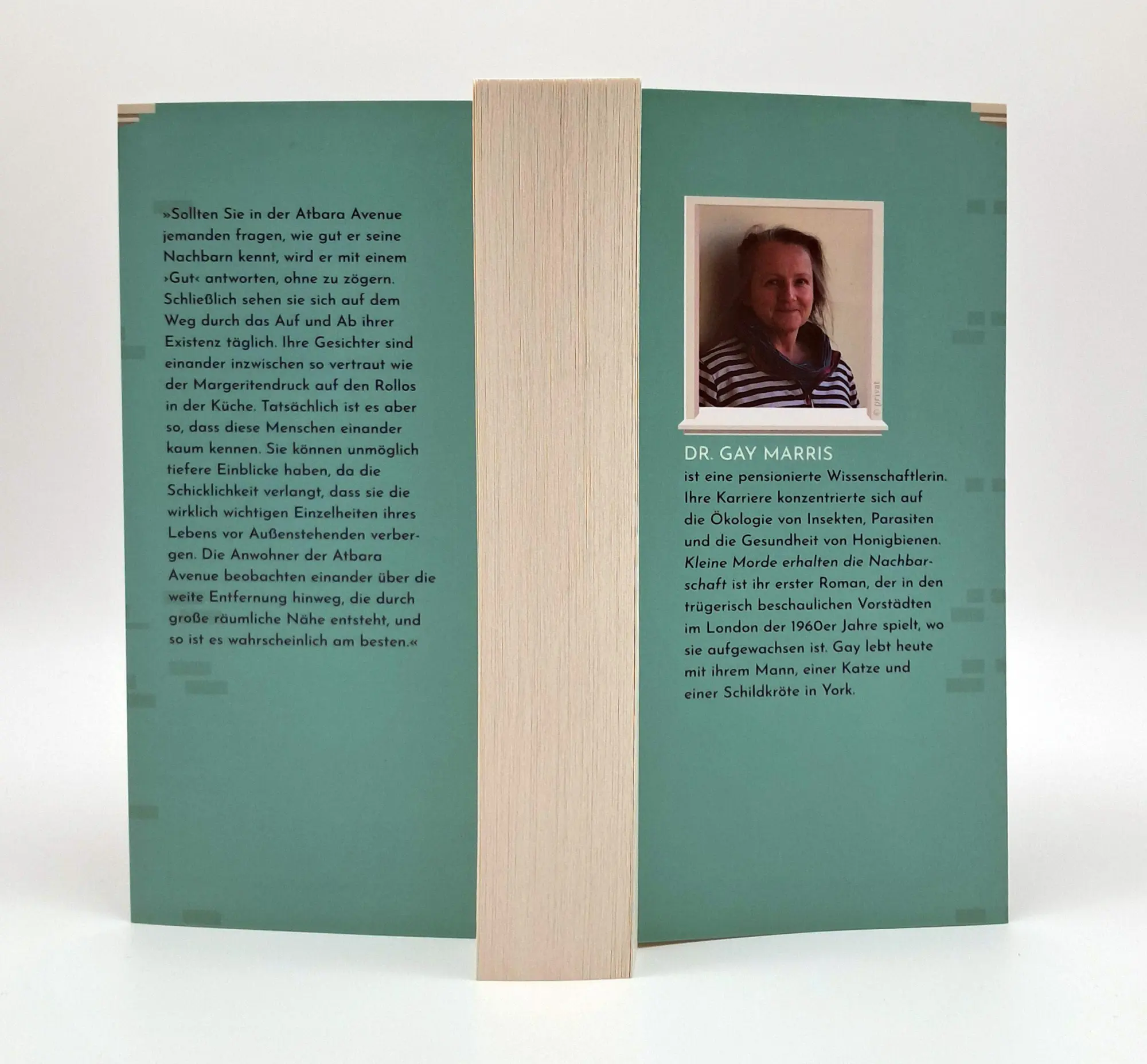 Bild: 9783423221382 | Kleine Morde erhalten die Nachbarschaft | Gay Marris | Taschenbuch