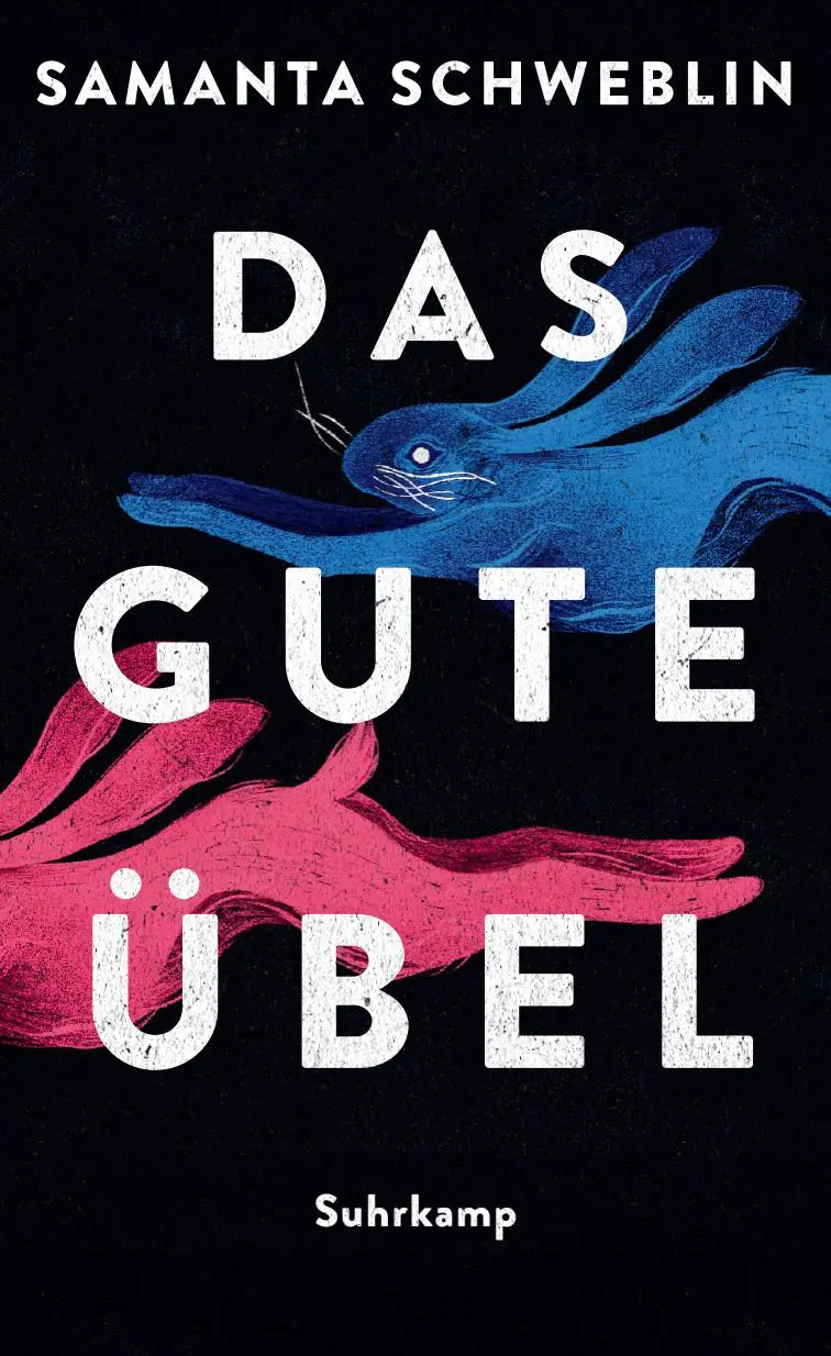 Cover: 9783518431382 | Das gute Übel | Samanta Schweblin | Buch | 190 S. | Deutsch | 2025