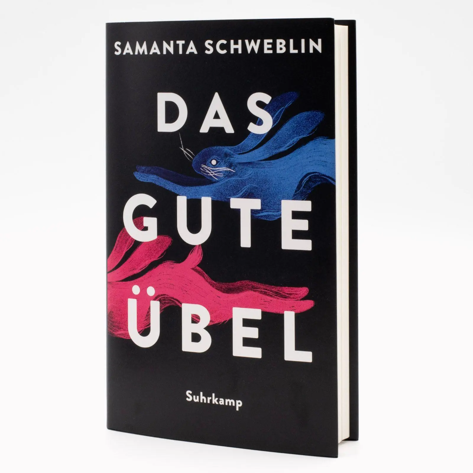 Bild: 9783518431382 | Das gute Übel | Samanta Schweblin | Buch | 190 S. | Deutsch | 2025